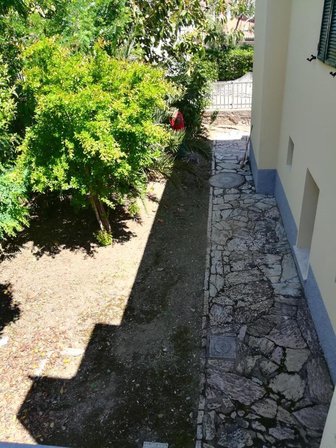 Casa San Giuseppe - Isola D'Elba Hotel Cavo Eksteriør billede